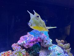 -上海海洋水族馆