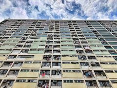 -彩虹村