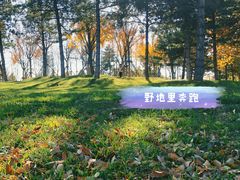 -玉泉公园