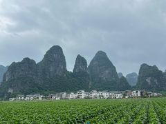 -钟山水墨田园