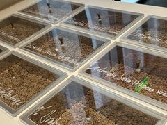 -% Arabica阿拉比卡咖啡烘焙工坊