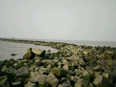 -南汇嘴观海公园