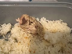 -陈光记烧腊(长寿路店)