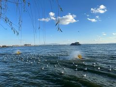-滇池海埂公园