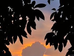 -广东花都湖国家湿地公园