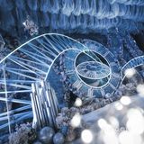 星河灿烂,你是人间理想|✨天津婚礼