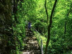 -光雾山旅游景区