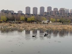 -前关湿地公园