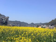 -新安江山水画廊风景区