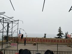 -东方熊牧场
