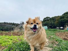 -亮河湾山庄