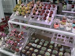 -KKV(天津津南吾悦广场店)