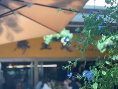 -缘生态云南菜·野生菌庭院餐厅(华侨城店)