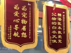 -全心全意连锁动物医院·微创中心·内科急重症·心脏专科(丰管路店)