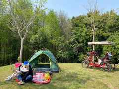 -上海海湾国家森林公园