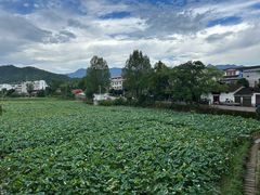 -五夫镇朱子家宴