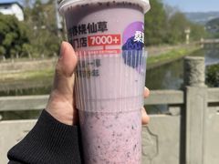 -书亦烧仙草(天益广场店)
