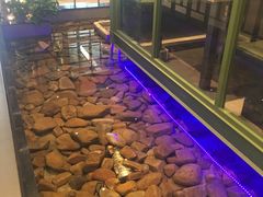 -丰茂烤串(公园店)