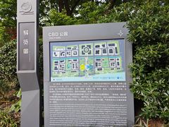 -钱江新城灯光秀