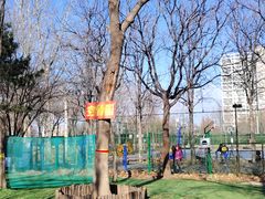 -回龙观体育文化公园