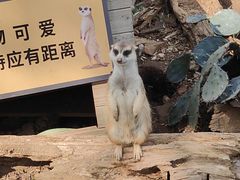 -无锡动物园·太湖欢乐园