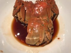 熟醉大闸蟹-玫瑰厅上海菜(兴国路店)