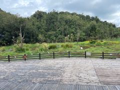 -普洱太阳河森林公园