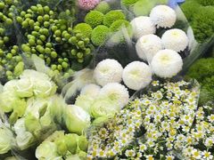-朝来春花卉市场