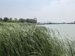 -苏州太湖湖滨国家湿地公园