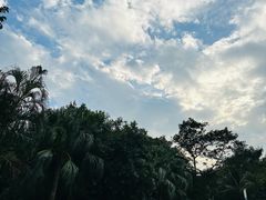 -深圳湾公园(南山区)