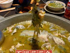 -石锅苗苗鱼(武汉首店)