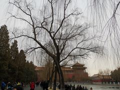 -东华门大街小区