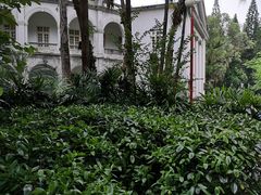 -广东革命历史博物馆办公楼