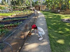 -石梅湾艾美度假酒店