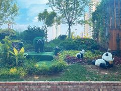 -西安电影制片厂