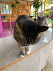 -萌宠亲子动物乐园(槐房万达店)