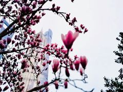 -陆家嘴中心绿地
