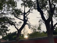 -揭阳学宫(榕城区)