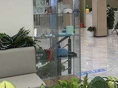 -上海大学附属上海和平眼科医院