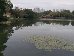 -荔枝公园(福田区)