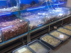 水产区-前王院•巧克力海鲜市集餐厅(万平口店)