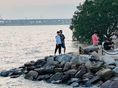 -宝安西湾红树林湿地公园