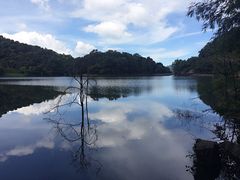-广州市石门国家森林公园