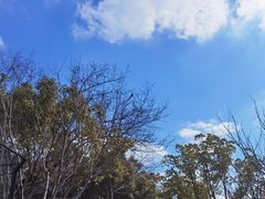 -龙华烈士纪念馆-停车场