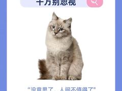 -lincat·猫舍(广州店)