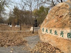 -北京麋鹿生态实验中心