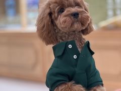 -帕帕拉兹宠物(亚洲旗舰店)