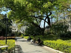 -徐家汇源景区-衡山公园