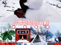 -秦岭终南山世界地质公园翠华山景区