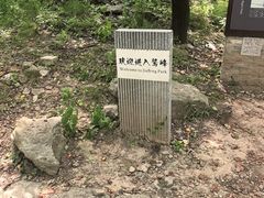 -北京鹫峰国家森林公园